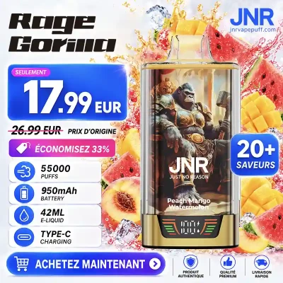 JNR RageGorilla 55K – 55 000 Bouffées – Puff Rechargeable Dual Mesh avec Écran
